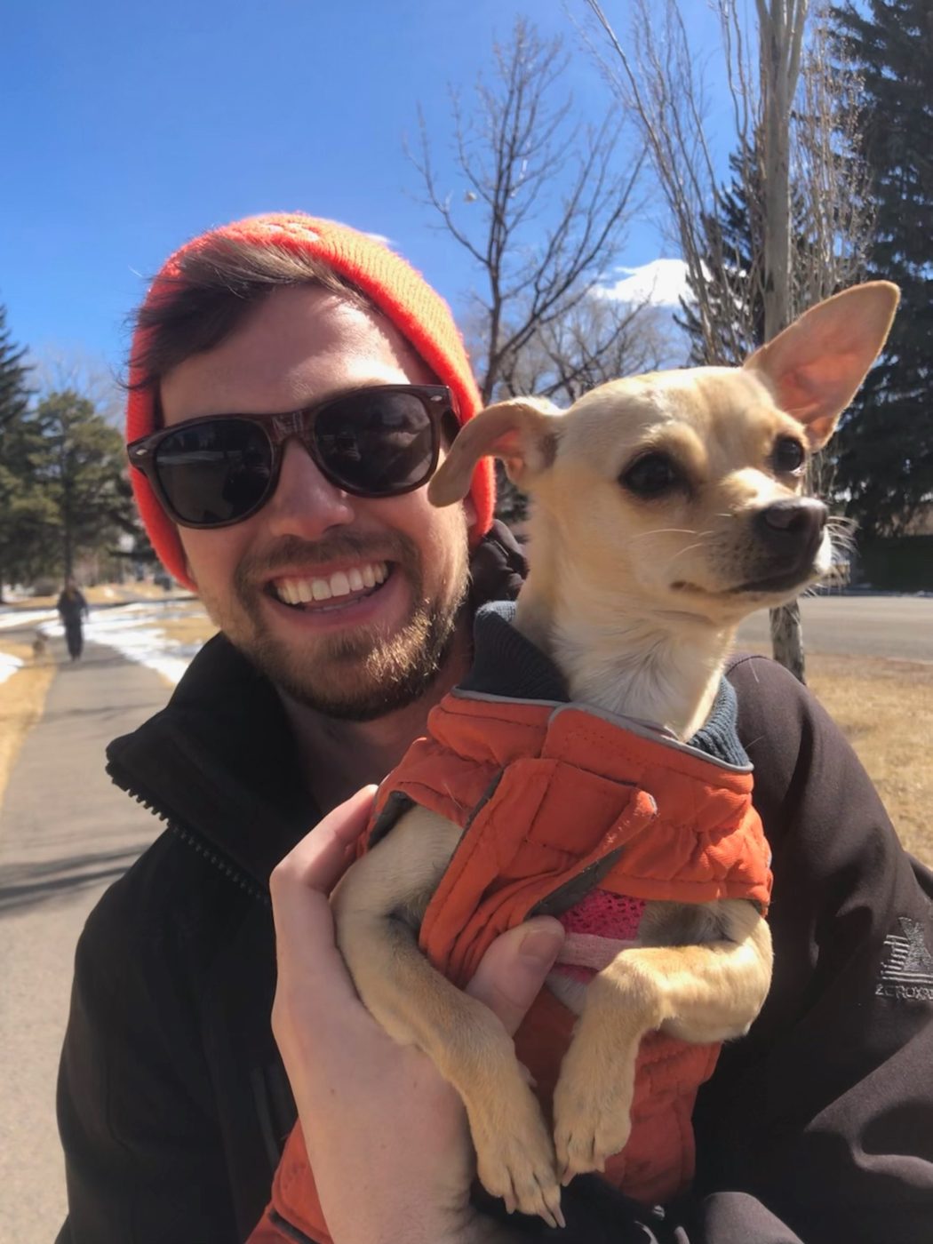 Bella the Chihuahua mix