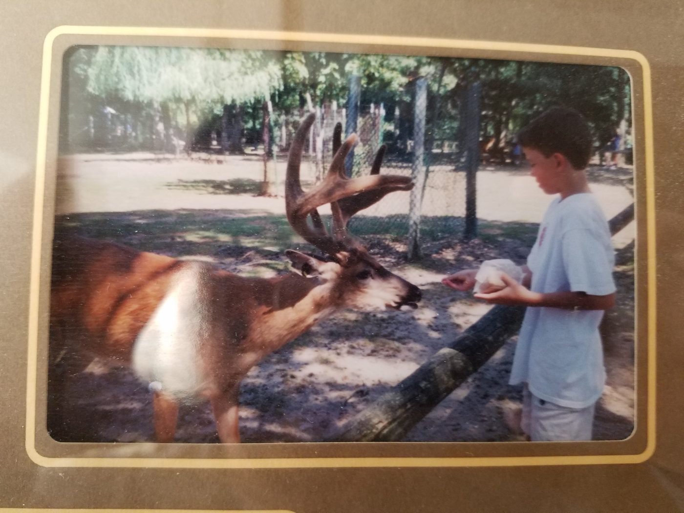 Glenn with animal friends