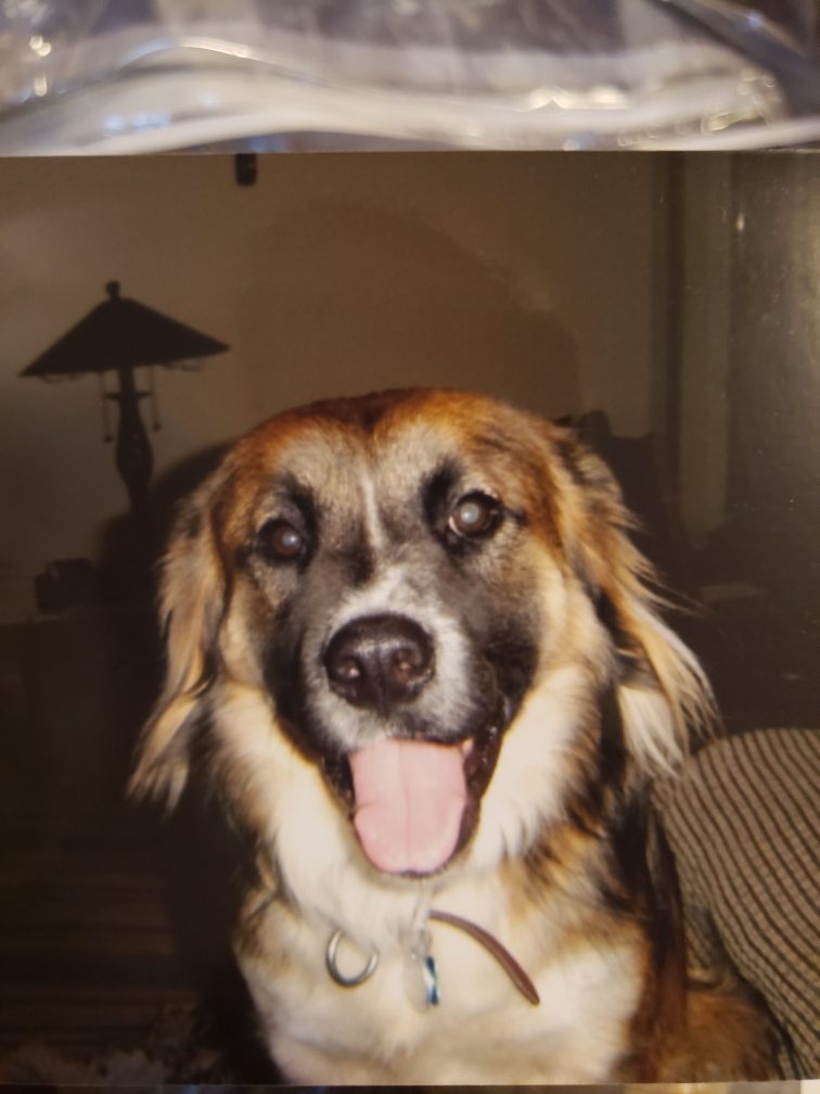 Barkley