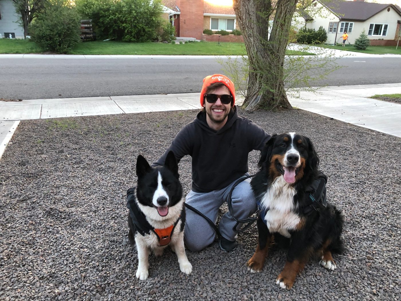 Glenn's dog friends