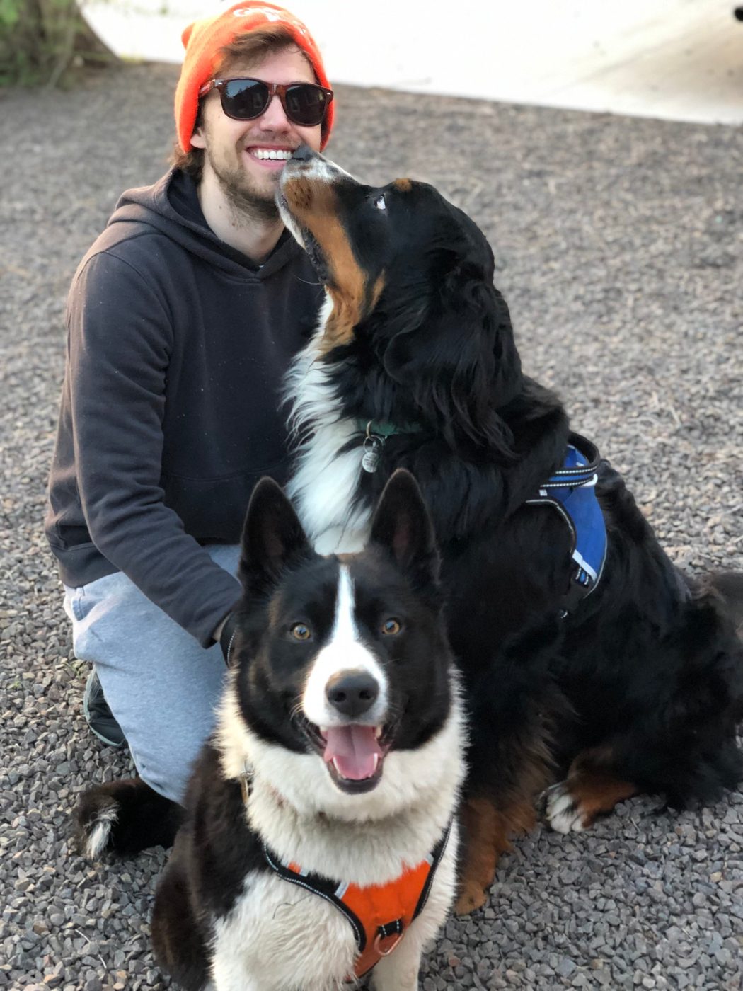 Glenn's dog friends
